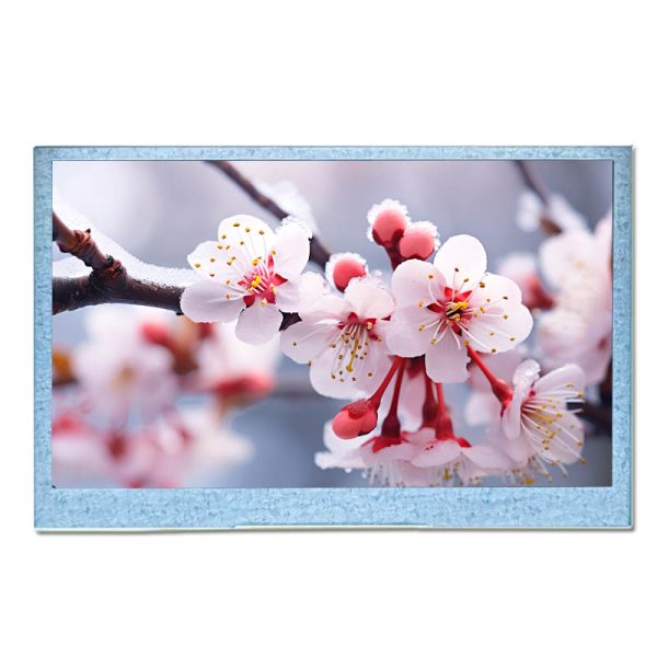 4.3 inch TFT LCD Panel