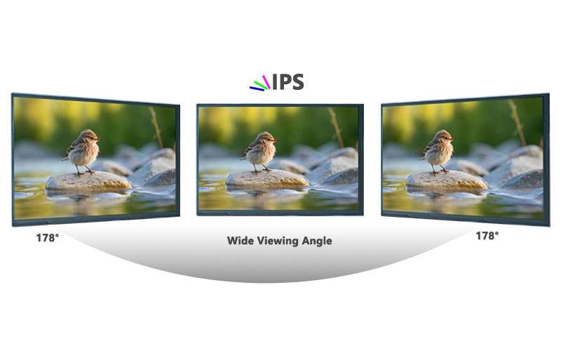 Wide Viewing Angle Display